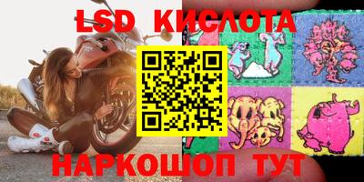 гашик Кулебаки